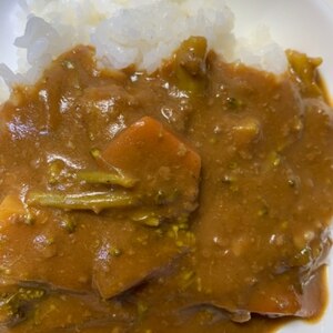 鶏スープで絶品カレーライス☆食べラーで辛さ調節♪